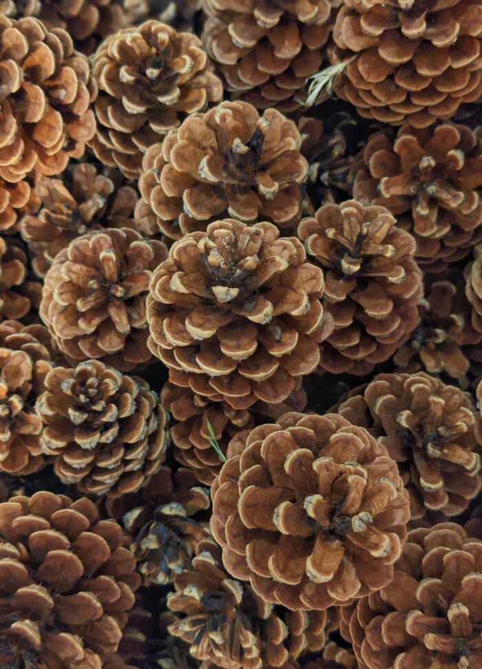 35 Strange Secret Rooms These People Found In Their Homes, Shared In This Online Thread