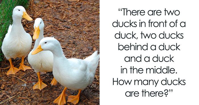 40 Of The Best Logic Puzzles To Keep You And Your Peers Busy