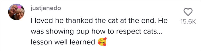 Video Of A Man Introducing His Dog To Neighborhood Cat Goes Viral With 7.7M Views Video Of A Man Introducing His Dog To Neighborhood Cat Goes Viral With 7.7M Views