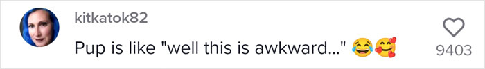 Video Of A Man Introducing His Dog To Neighborhood Cat Goes Viral With 7.7M Views Video Of A Man Introducing His Dog To Neighborhood Cat Goes Viral With 7.7M Views