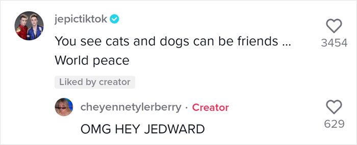Video Of A Man Introducing His Dog To Neighborhood Cat Goes Viral With 7.7M Views Video Of A Man Introducing His Dog To Neighborhood Cat Goes Viral With 7.7M Views