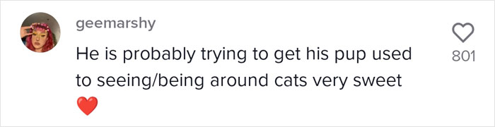 Video Of A Man Introducing His Dog To Neighborhood Cat Goes Viral With 7.7M Views Video Of A Man Introducing His Dog To Neighborhood Cat Goes Viral With 7.7M Views