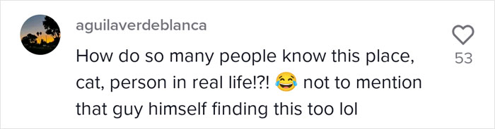 Video Of A Man Introducing His Dog To Neighborhood Cat Goes Viral With 7.7M Views Video Of A Man Introducing His Dog To Neighborhood Cat Goes Viral With 7.7M Views