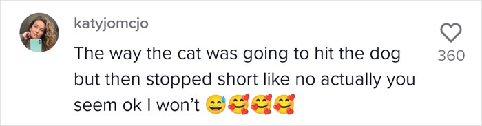 Video Of A Man Introducing His Dog To Neighborhood Cat Goes Viral With 7.7M Views Video Of A Man Introducing His Dog To Neighborhood Cat Goes Viral With 7.7M Views
