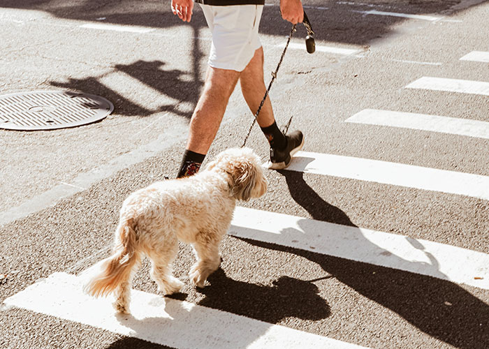 Guy Asks If He's A Jerk For Laughing In Neighbor's Face After She Suggested Swapping Apartments In All Seriousness Guy Asks If He's A Jerk For Laughing In Neighbor's Face After She Suggested Swapping Apartments In All Seriousness