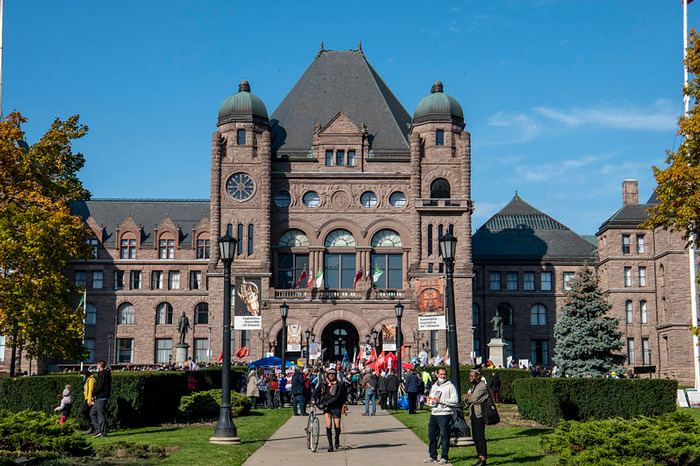«Hoy aprendí»: 35 nuevos datos que demuestran que nunca es demasiado tarde para aprender