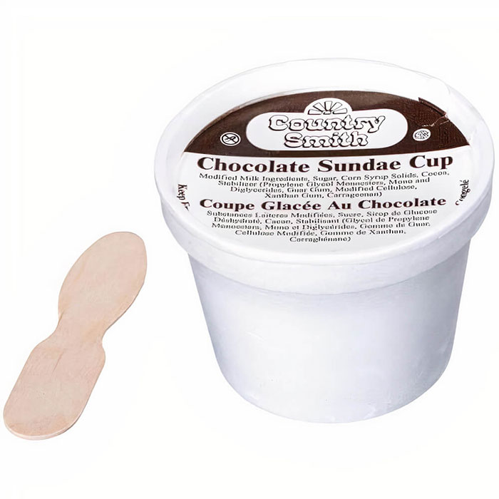 90s food nostalgia: chocolate sundae cup with wooden spoon.