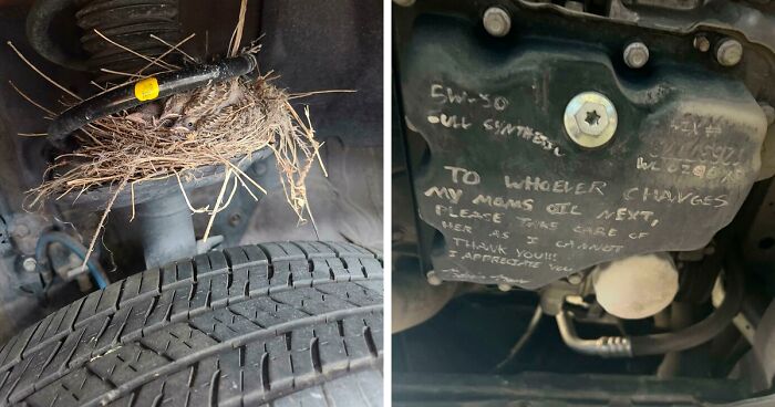 50 Pics That Show The Level Of Nonsense Mechanics Have To Deal With (New Pics)