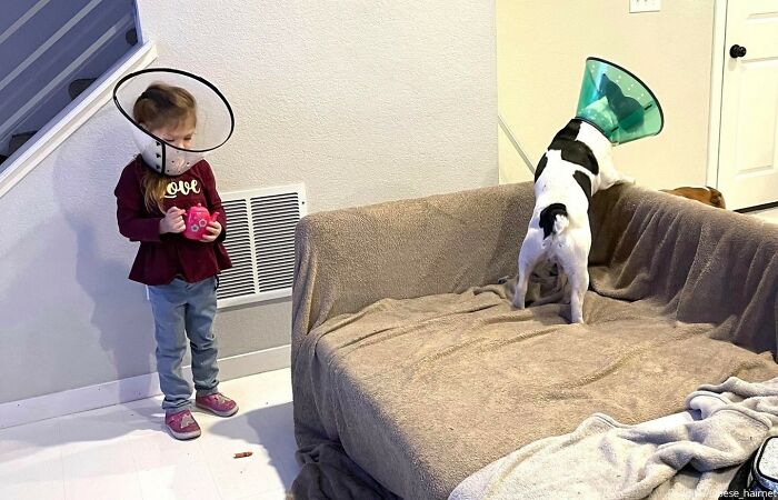 "My Daughter Would Not Stop Crying Until She Got Her Own Cone Of Shame"
