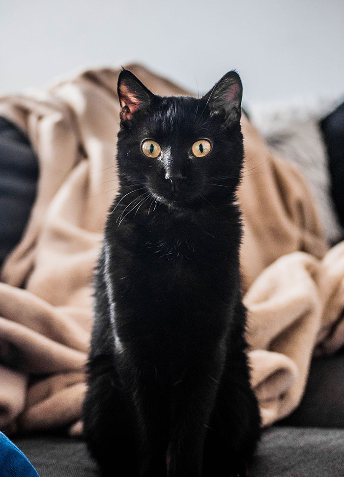 20 Cosas que mucha gente odia sin razón alguna