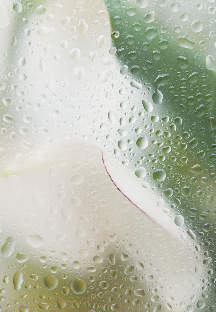 30 Things That Are Pretty Much Universally Hated By Most People For No Good Reason