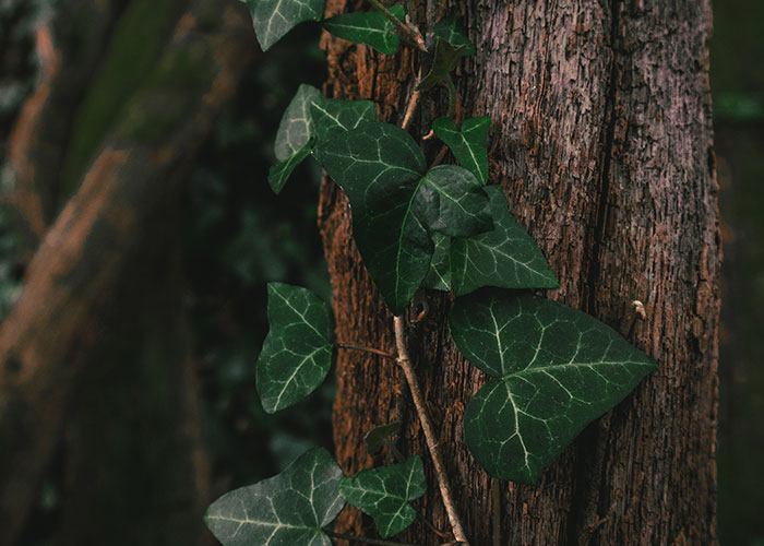 40 People Confess The Darkest Thing They've Ever Done That They Never Regretted