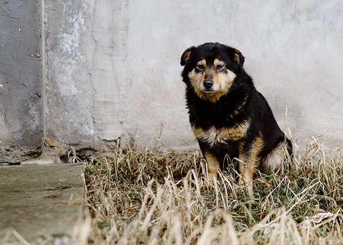20 Personas confiesan sus actos más sombríos de los que no se arrepienten