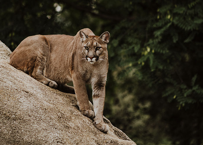 20 Personas confiesan sus actos más sombríos de los que no se arrepienten