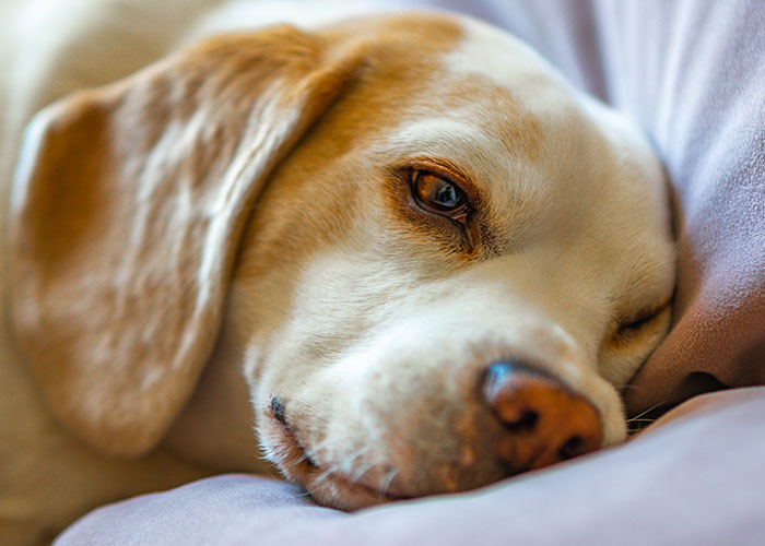 20 Personas confiesan sus actos más sombríos de los que no se arrepienten