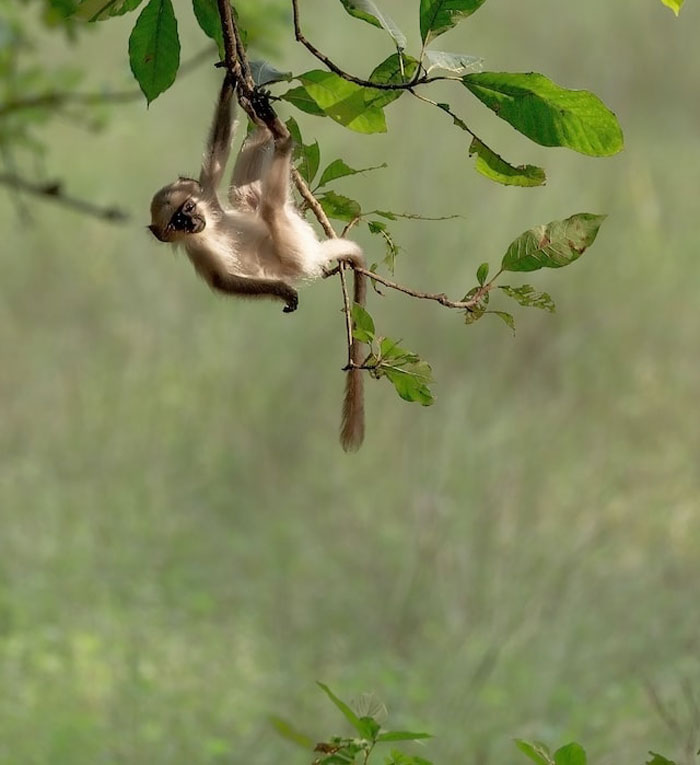 50 Times People Heard Someone Say Something So Blatantly Stupid, They Just Had To Share It Online