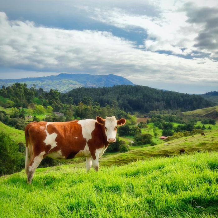 50 Times People Heard Someone Say Something So Blatantly Stupid, They Just Had To Share It Online