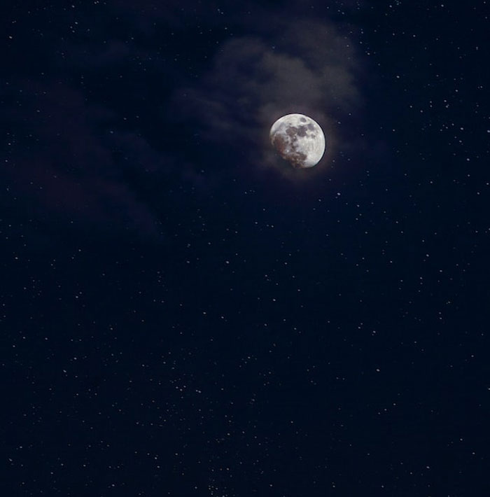 50 Times People Heard Someone Say Something So Blatantly Stupid, They Just Had To Share It Online