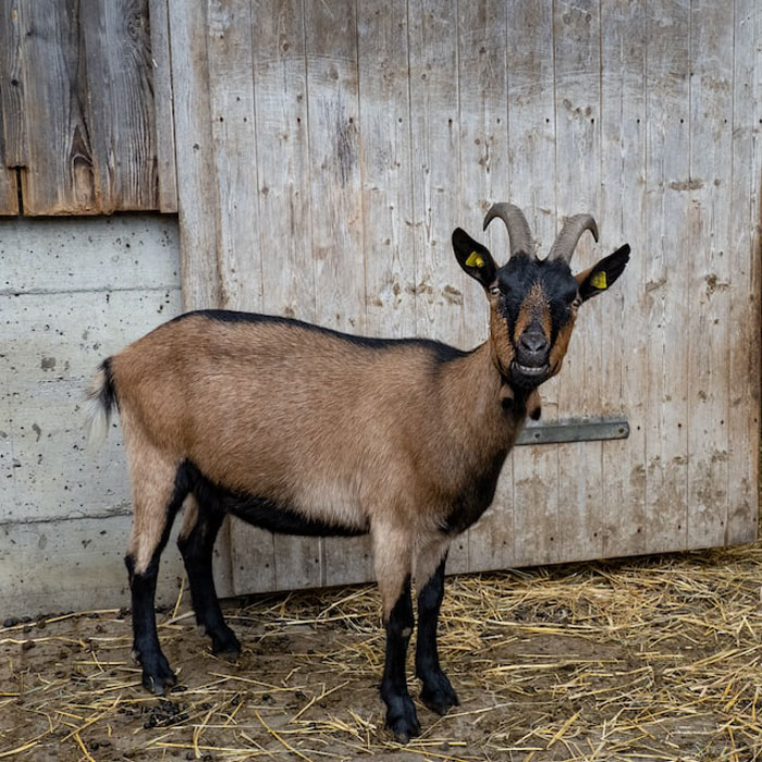 50 Times People Heard Someone Say Something So Blatantly Stupid, They Just Had To Share It Online