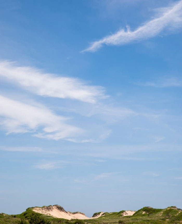 50 Times People Heard Someone Say Something So Blatantly Stupid, They Just Had To Share It Online