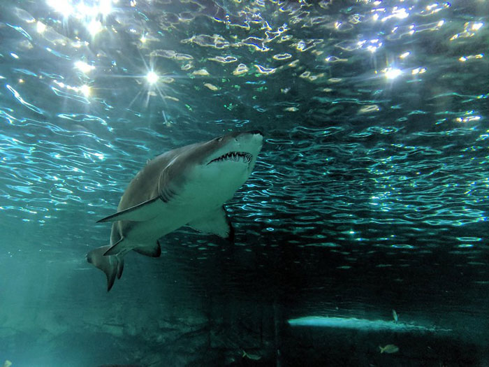 50 Times People Heard Someone Say Something So Blatantly Stupid, They Just Had To Share It Online