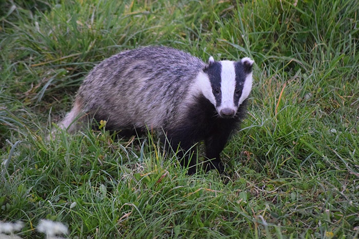 Someone Asked, ‘What’s A Secret You’ll Never Tell Your Partner?’, 40 People Delivered - 2