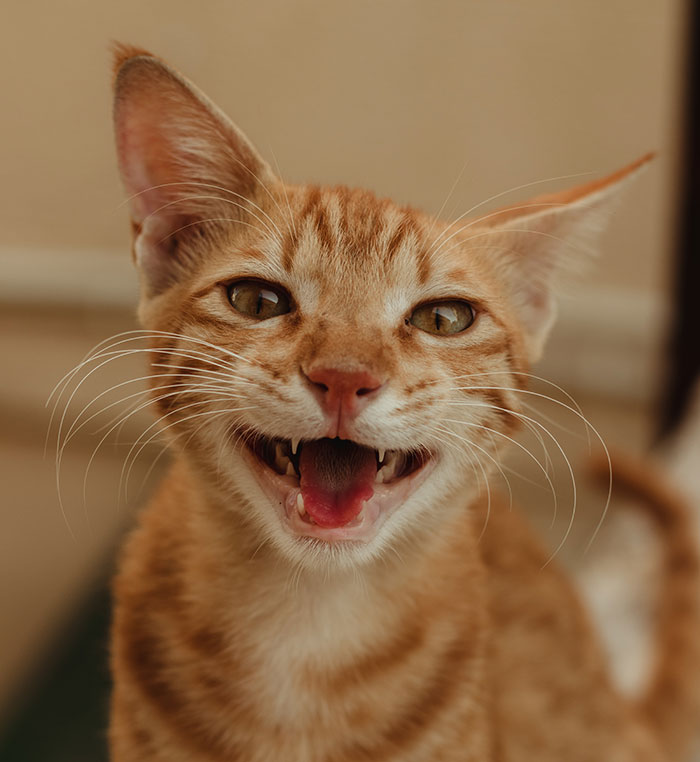 Someone Asked, ‘What’s A Secret You’ll Never Tell Your Partner?’, 40 People Delivered - 11