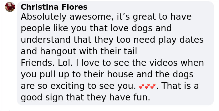 &ldquo;My Dog Isn't Lonely At Home&rdquo;: Adorable Doggy School Bus Picks Up Pups Every Day And Takes Them To Daycare