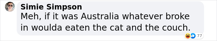 Cheeky Seal Breaks Into Family Home, Terrorizes Cat And Chills On Couch, And The Internet Is In Stitches