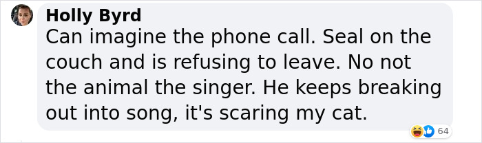 Cheeky Seal Breaks Into Family Home, Terrorizes Cat And Chills On Couch, And The Internet Is In Stitches