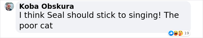 Cheeky Seal Breaks Into Family Home, Terrorizes Cat And Chills On Couch, And The Internet Is In Stitches