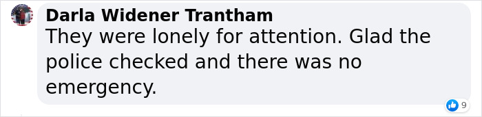 Two Dogs Managed To Call The Police 16 Times In 30 Minutes, And The Internet Is In Stitches - 13