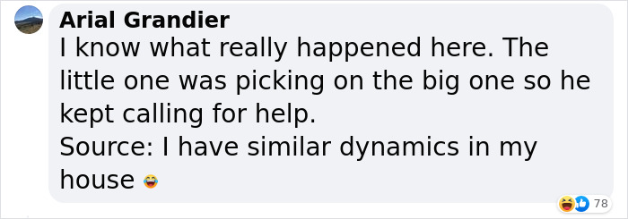 Two Dogs Managed To Call The Police 16 Times In 30 Minutes, And The Internet Is In Stitches - 11