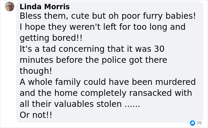 Two Dogs Managed To Call The Police 16 Times In 30 Minutes, And The Internet Is In Stitches - 6