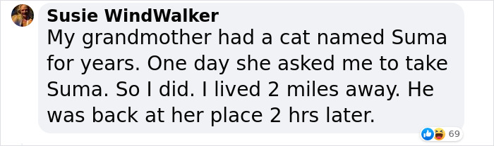 &ldquo;Oh My God, That&rsquo;s Him!": Family In Shock As Cat Lost During Move Shows Up At Their New House 2 Months Later