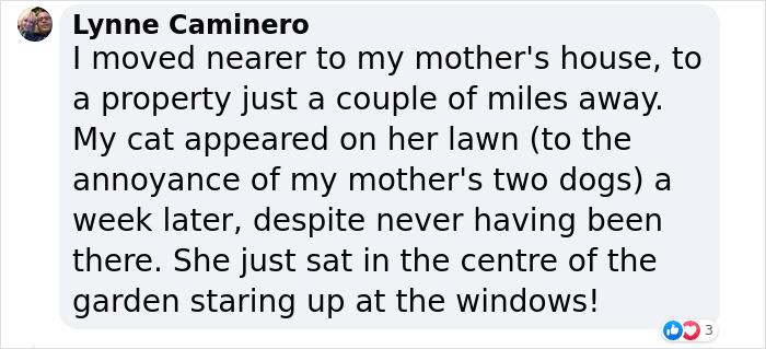 &ldquo;Oh My God, That&rsquo;s Him!": Family In Shock As Cat Lost During Move Shows Up At Their New House 2 Months Later