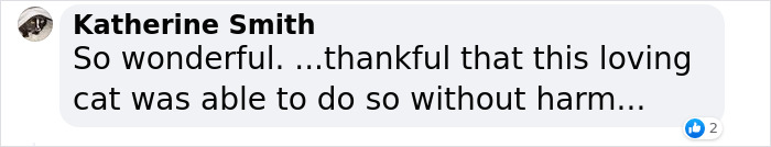 &ldquo;Oh My God, That&rsquo;s Him!": Family In Shock As Cat Lost During Move Shows Up At Their New House 2 Months Later