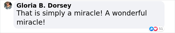 &ldquo;Oh My God, That&rsquo;s Him!": Family In Shock As Cat Lost During Move Shows Up At Their New House 2 Months Later