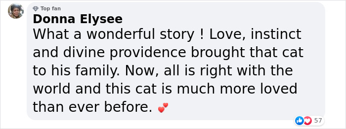 &ldquo;Oh My God, That&rsquo;s Him!": Family In Shock As Cat Lost During Move Shows Up At Their New House 2 Months Later