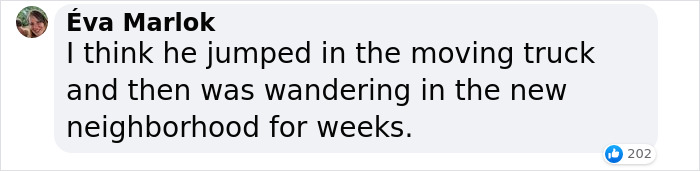 &ldquo;Oh My God, That&rsquo;s Him!": Family In Shock As Cat Lost During Move Shows Up At Their New House 2 Months Later