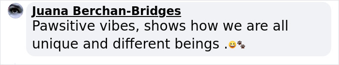 Video Of Introverted Dogs Meeting Up Has Melted Hearts All Over The Internet And Made People Say “Relatable!” Video Of Introverted Dogs Meeting Up Has Melted Hearts All Over The Internet And Made People Say “Relatable!”