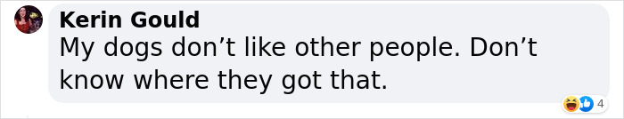 Video Of Introverted Dogs Meeting Up Has Melted Hearts All Over The Internet And Made People Say “Relatable!” Video Of Introverted Dogs Meeting Up Has Melted Hearts All Over The Internet And Made People Say “Relatable!”