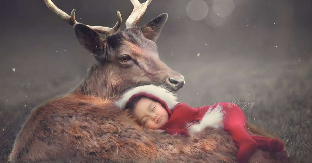I Create Magical Scenarios With Wildlife Using Photoshop (16 Pics)