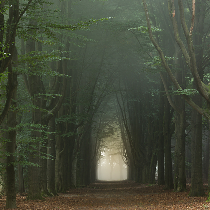 I Live In A Rural Area In The Netherlands And I Capture Its Scenic Countryside (40 Pics)