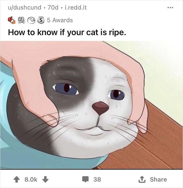 26 Of The Weirdest And Most Funny Images Saved To My Computer.