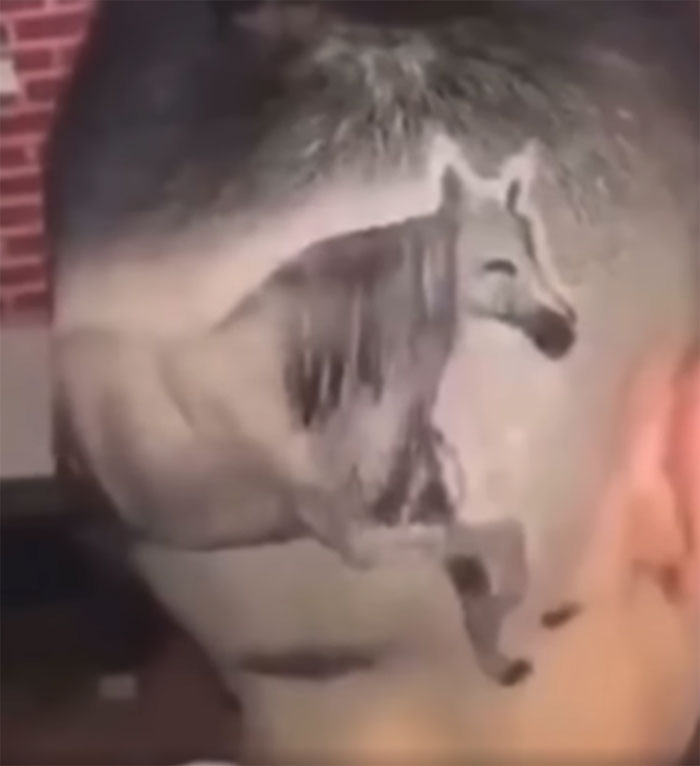 Lo encontré en Instagram