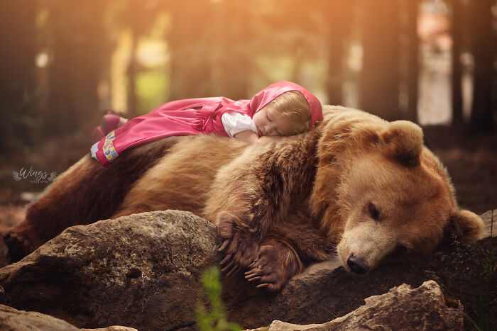 Masha And The Bear II