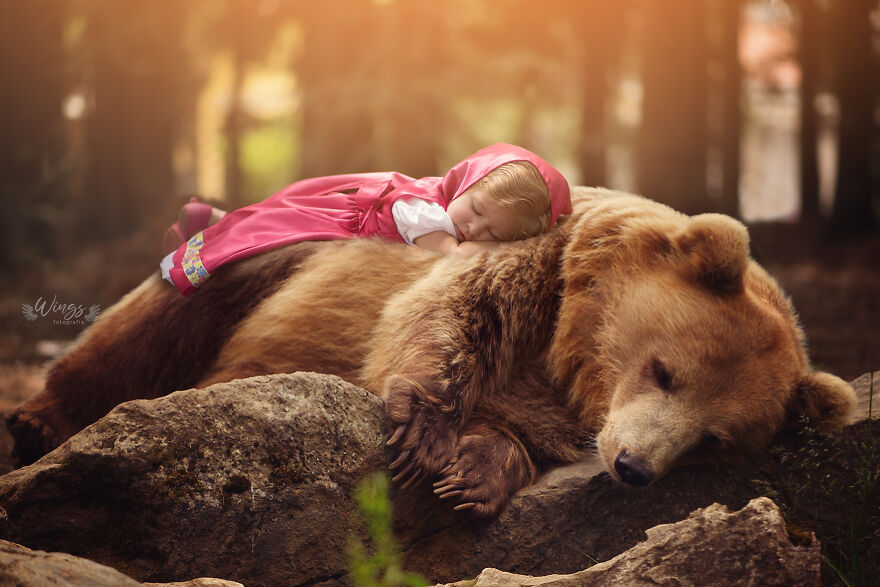 Masha And The Bear II