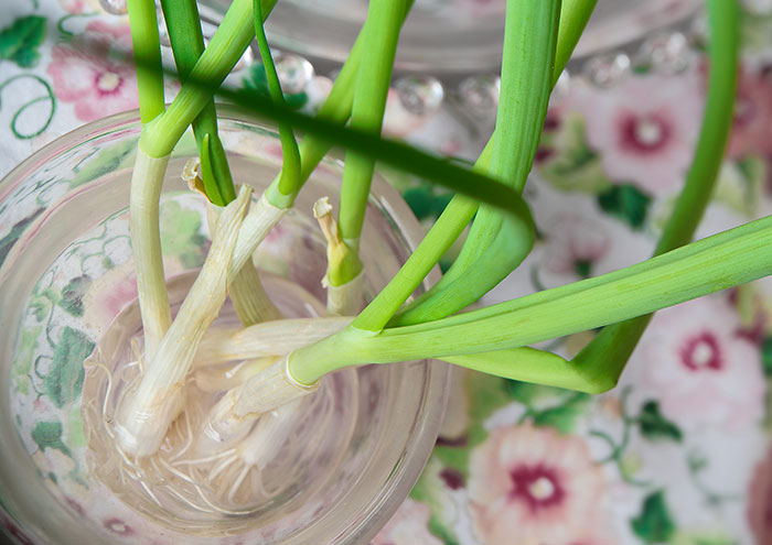 “Instead Of Water, I Use Stock”: Home Cooks Are Sharing Their Best Ingredient Substitutions, Here Are 30 That Might Help You Level Up The Flavor Game