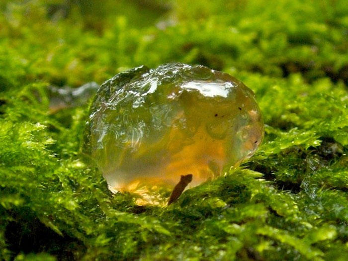 20 De los misterios sin resolver más extraños de todos los tiempos, compartidos en este hilo online